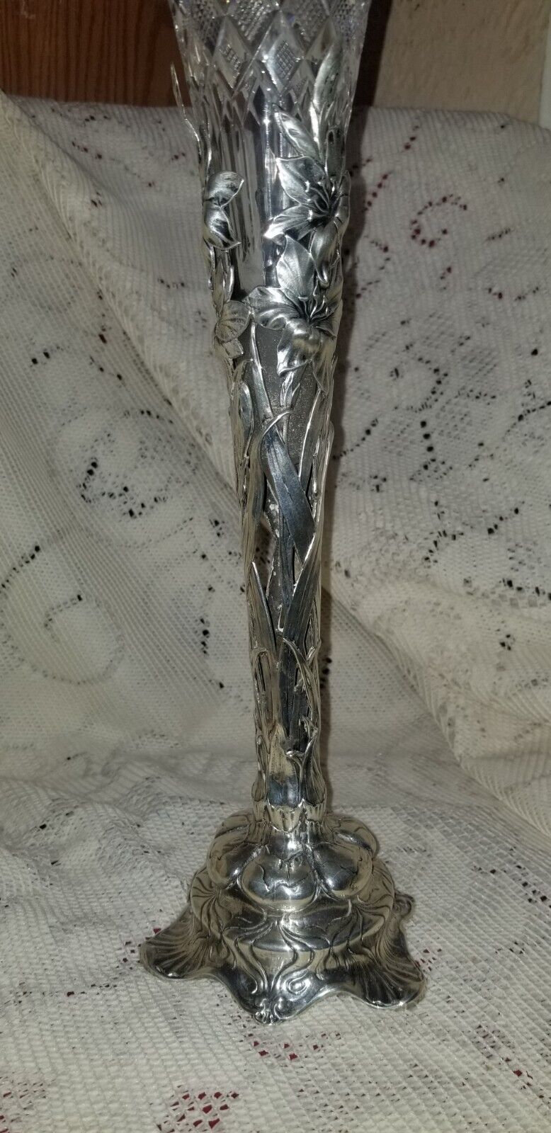 Foto 5 di 17