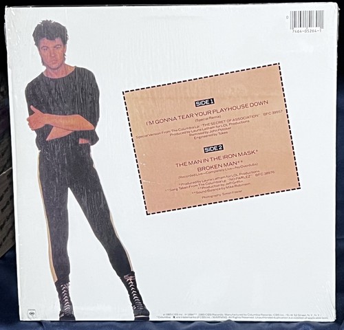 Paul Young Promo 12" Vinyl Lot Tear Playhouse Down Secret of Association MORE EX - Picture 7 of 9