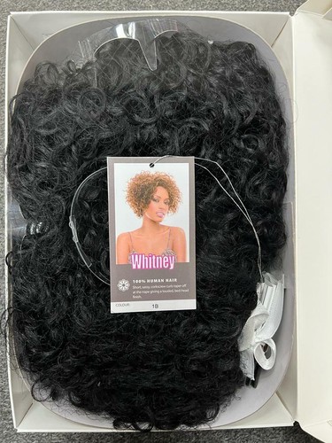 SCHLANKE WHITNEY PERÜCKE MODE 100 % MENSCHHAAR Remi Qualität PERÜCKE ALLE FARBEN UK VERKÄUFER - Bild 3 von 8
