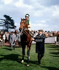 1970 NIJINSKY LESTER PIGGOTT 2000 GUINEAS NEWMARKET PHOTO HORSE RACING