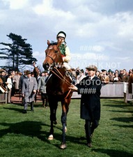 1970 NIJINSKY LESTER PIGGOTT 2000 GUINEAS NEWMARKET PHOTO HORSE RACING 