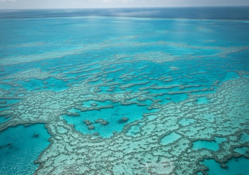A4| Amazing Ocean Wonder Poster Print Size A4 Nature Scenery Poster Gift #14225