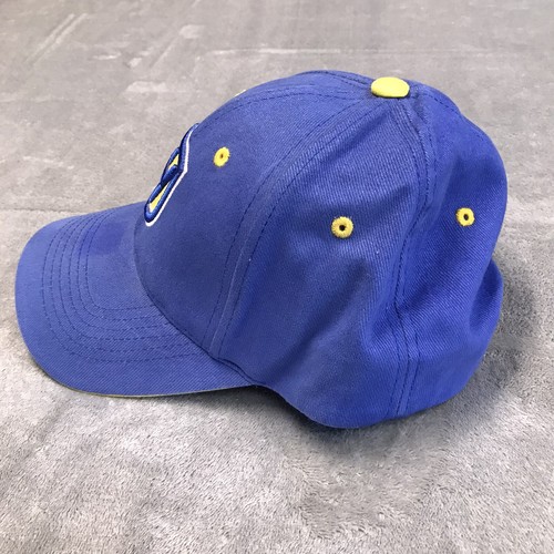 Cappello Hofstra Università Cinghia Schiena Regolabile Adulto Papà Berretto Blu - Foto 3 di 7