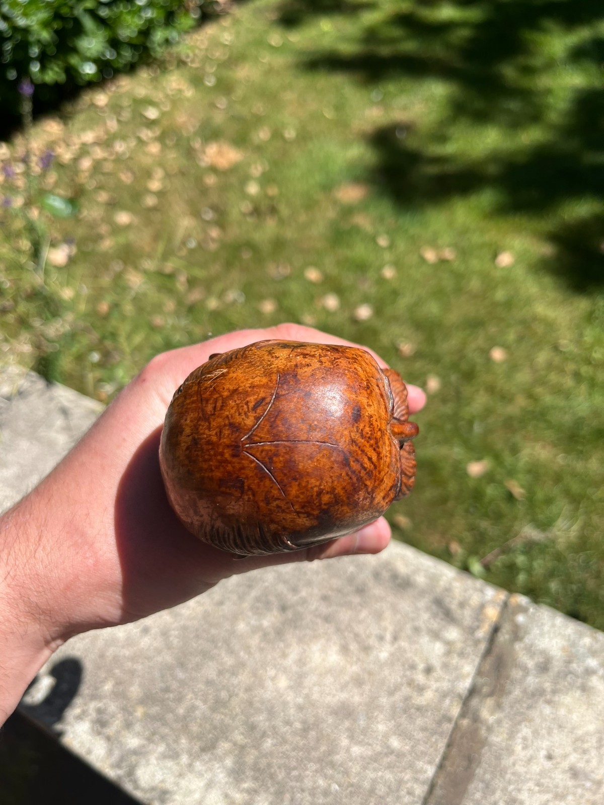 Picture 5 of 12