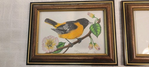 Signierte Deb Zimmermann Vogelzeichnungen gerahmt 1996 Set 4 Rotkehlchen Oriole Bluebird Finch - Bild 4 von 7