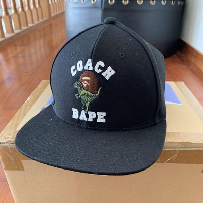 A BATHING APE COACH COLLABORATION HAT ONE SIZE | eBay