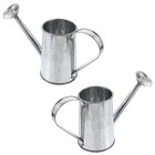 2 Stück Eisen-Gießtöpfe, einfache Gießtöpfe für Pflanzen, Heim-Gießtopf