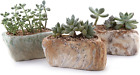 5.5 Inch Ceramic Succulent Pot Planter with Drainage Hole Set of 3, Stone Shape
