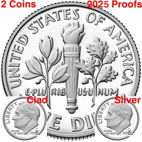 2020 P D S S Dime Roosevelt 99.9% US Mint SILVER & CLAD PROOF Bank PD10¢ Cents 4 - Picture 4 of 12