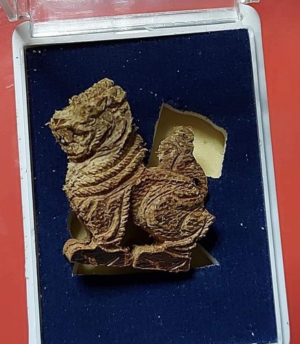 Thai buddha amulet phra zing kuba singharad powerful pendant . - Picture 3 of 3