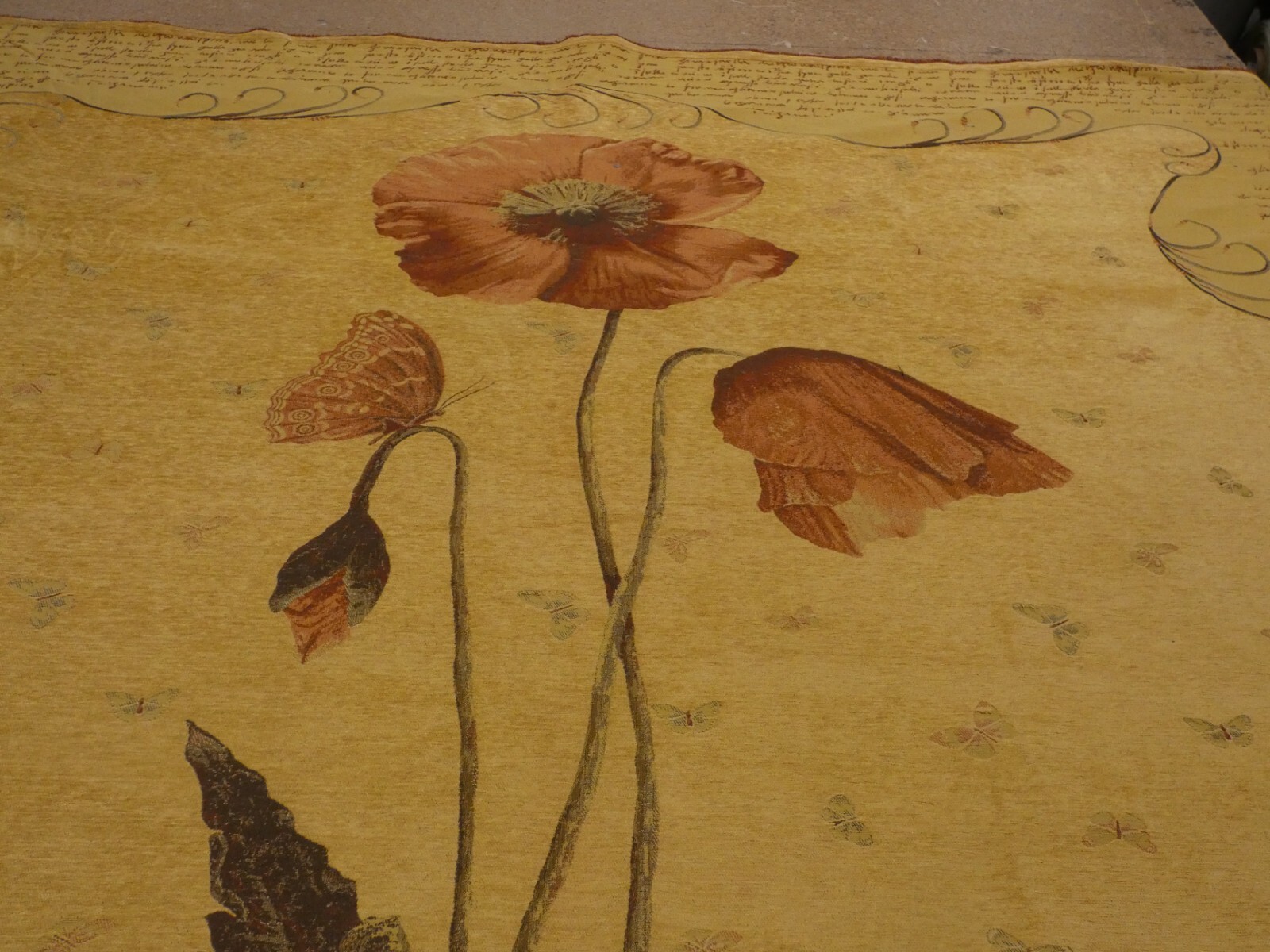 Picture 5 of 6