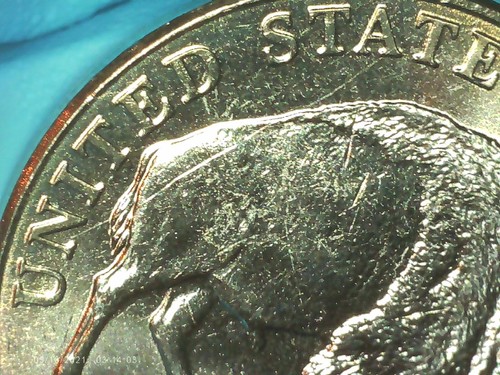 2005-D Jefferson nickel Double-Speared Bison Die Gouge DDO rare 5c gem - Picture 20 of 23