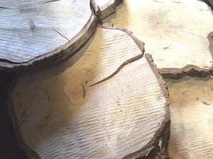 Large Natural Wood Log Slice Tree Bark Chic Wedding Table Centerpiece Cake Stand