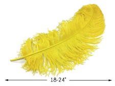 10 Wing 18- 24" Yellow Ostrich Plumes Centerpiece Feathers Costume Halloween