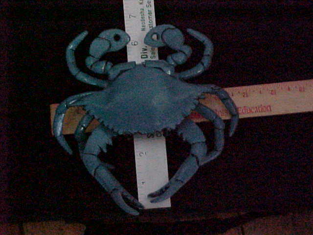 Picture 5 of 12