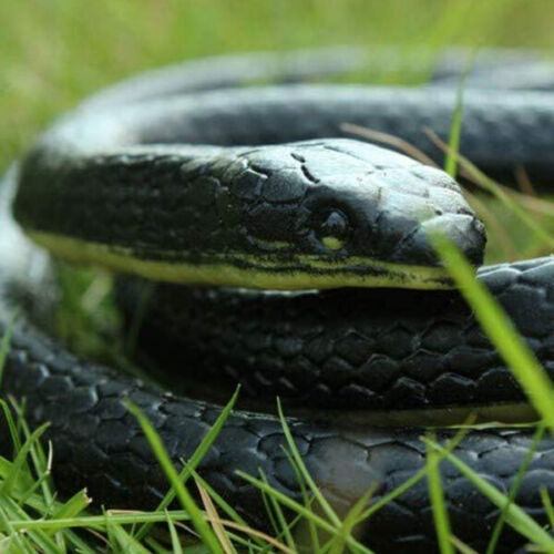 52" Mamba Realistic Rubber Fake Snake Toy For Garden Props and Halloween Joke US - Picture 3 of 12
