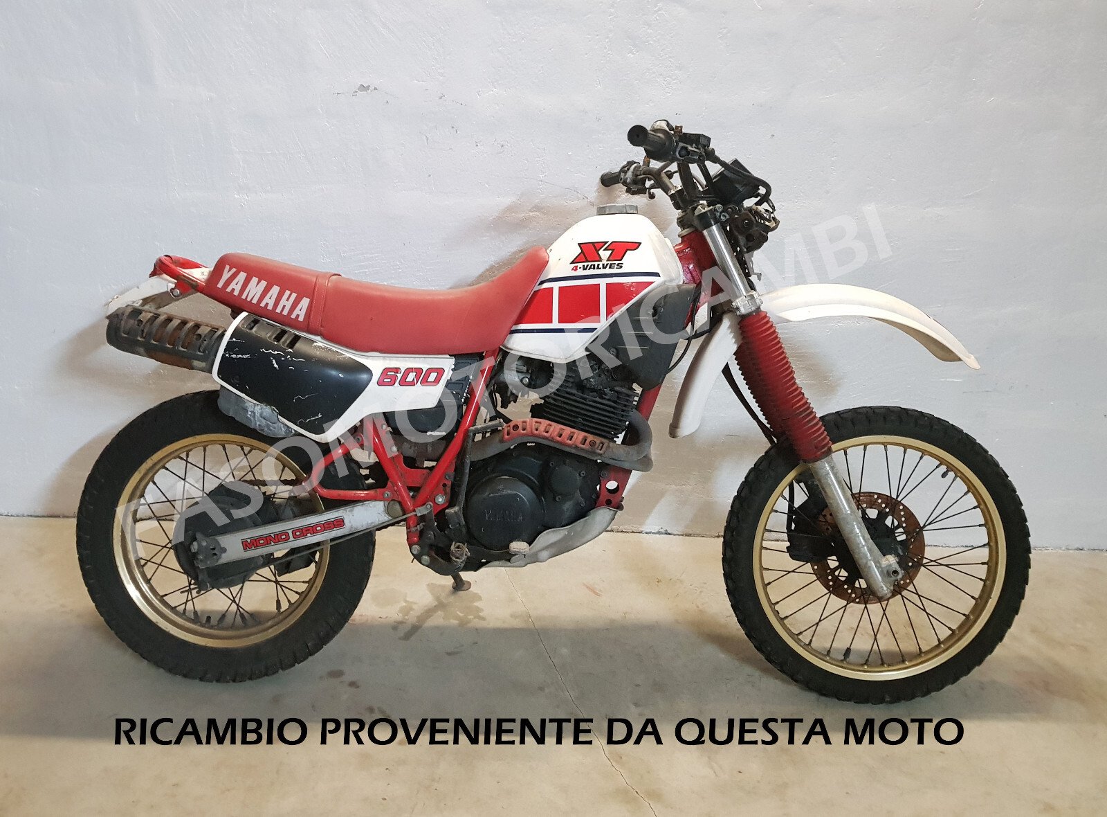 Foto 5 di 5