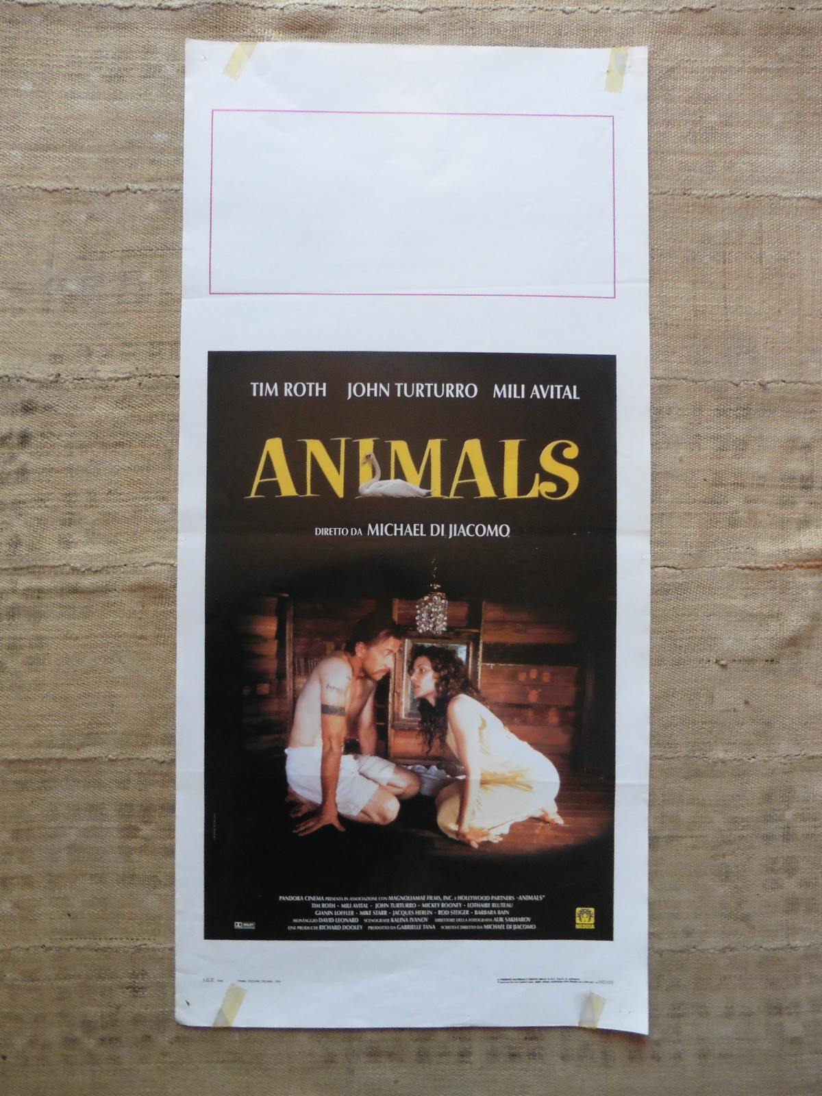 Locandina originale film Animals (1998) - Regia di Michael Di Jiacomo