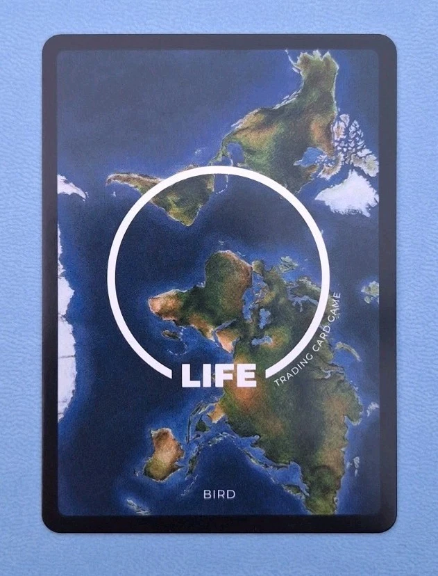 Life TCG Birds 1st Edition - New Zealand Kaka - Fullart 33/130 | POP 600 - Bild 2 von 3