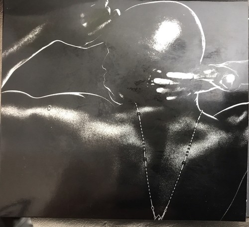 SEAL Best 1991-2004 Deluxe Edition 2 CDs + DVD-Audio 5.1 Surround ULTRA RARE - Picture 6 of 8