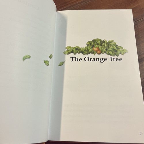 All About Reading Level 3 Readers Vol 1 & 2 Color Edition Marie Rippel - Picture 10 of 13