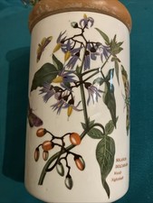 Portmeirion Botanic Garden Woody Nightshade 7