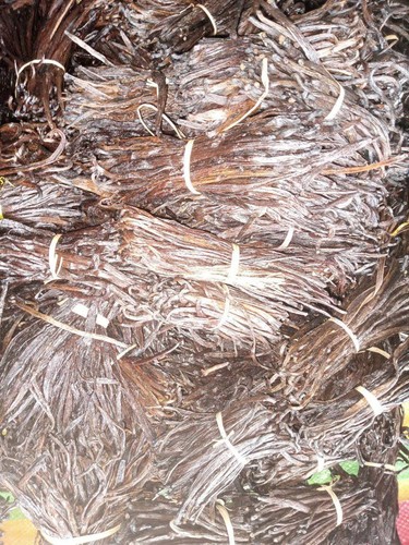 Bio FairTrade Madagaskar Vanilleschoten Klasse C/D - 1 kg (2,2 Pfund) - Bild 2 von 6