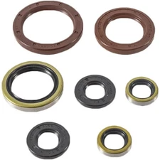 Vertex Oil Seal Set 822372