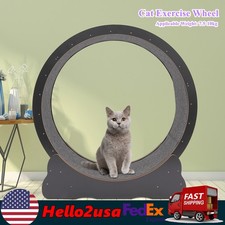 Modern Cat Wheel Round Cat Exercise Wheel for Indoor Cats With Floor Mount Black
