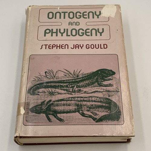 1977, Ontogeny Phylogeny Stephen Jay Gould. Hbw/dj 1st - Picture 1 of 9