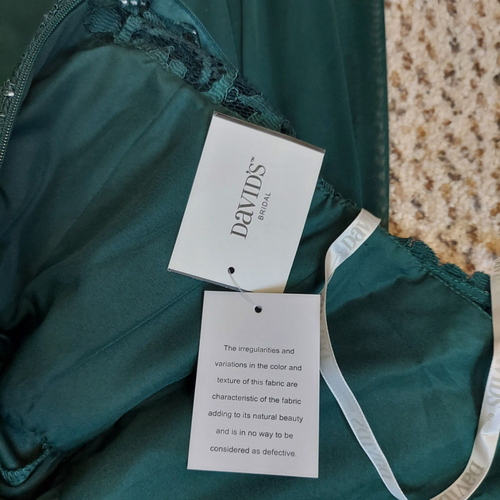Neu mit Etikett Davids Braut formelles Kleid Waldgrün Spitze Chiffon 1 Schulter Größe 6 Kleid - Bild 16 von 17