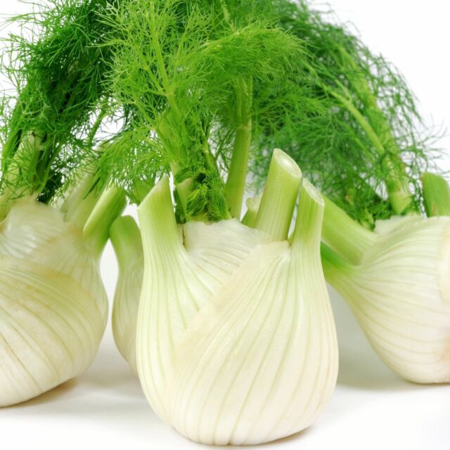Fennel - Seeds - Organic - Non Gmo - Heirloom Seeds – Herb Seeds Fennel - Seeds - Organic - Non Gmo - Heirloom Seeds – Herb Seeds
