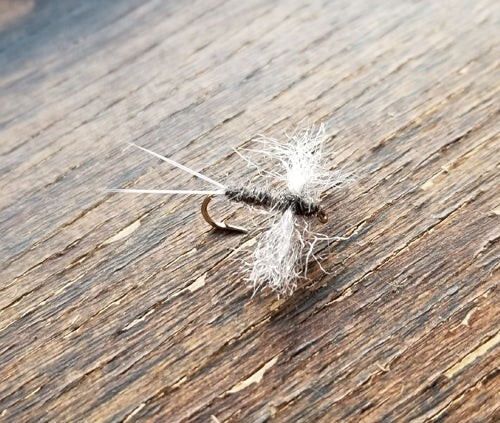 1 Dozen (12) Adam's Trico size 18 dry flies