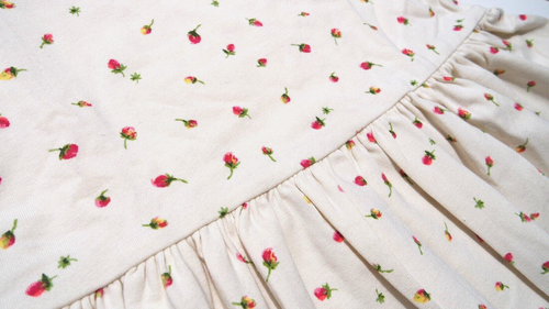 J.CREW CREWCUTS GIRLS IVORY ROSES PRINT COTTON LONG SLEEVE DRESS Sz 8 - Picture 3 of 4