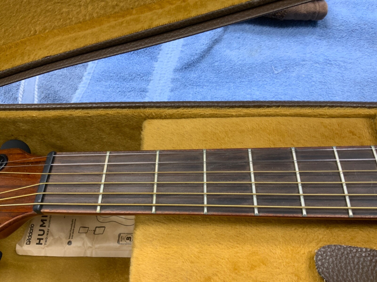 Wasnburn WCG55CE 6 string acoustic guitar eBay