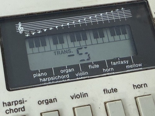 Casio PT30 Mini Electronic Keyboard Vintage Synthesizer getestet - Bild 6 von 16