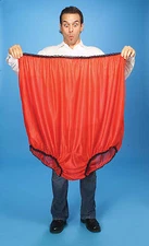 BIG MOMMA UNDIES GIANT GRANDMA GRANNY MAMA PANTIES UNDERWEAR OVERSIZED BLOOMERS