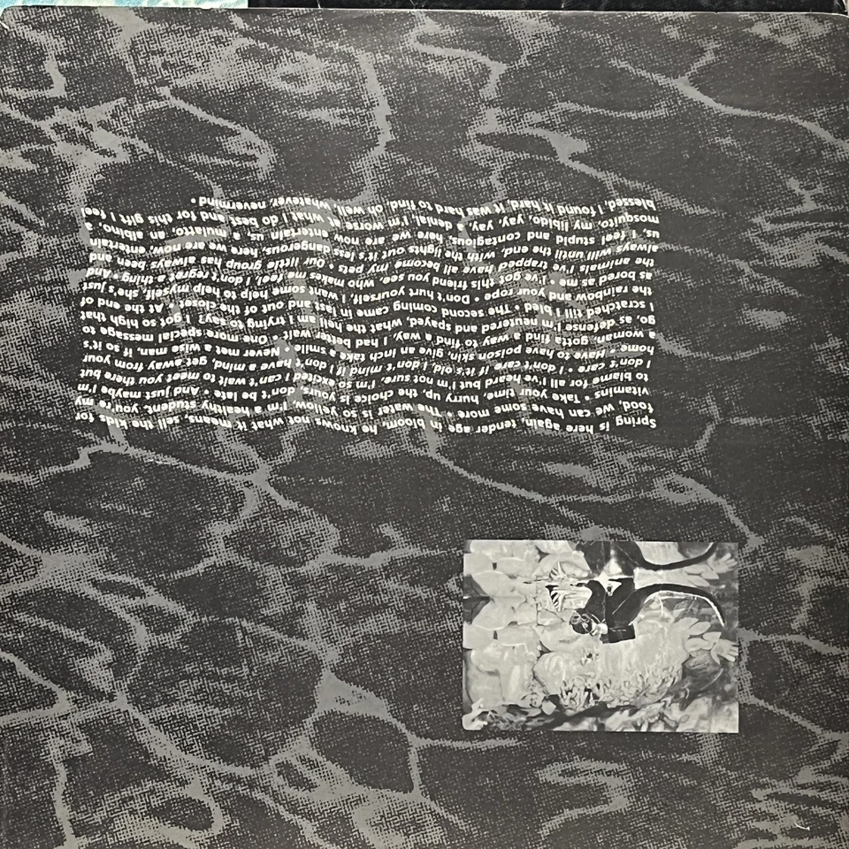 Rock Nirvana - Nevermind DGC, Sub Pop - Image 3 of 4