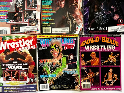 WRESTLING Vintage MAGAZINE 21pc Collection Lot 1986-2001 Reading Low Condition - 第 4/13 張圖片