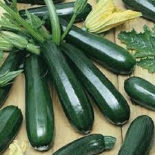 Premium Black Beauty Zucchini Seeds. Fresh Organic Seeds. Most Popular Ever 