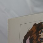 Picture 10 of 11