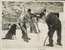1937 Press Photo Searchers look for wreckage of plane atop Alpine, Utah mountain