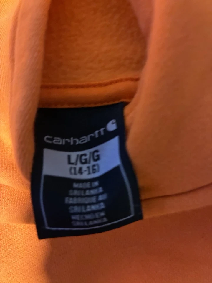 Carhartt Sudadera con Capucha Juvenil Grande 14-16 Adulto Pequeño Blaze Naranja Hechizo Peso Medio Foto 2 de 4