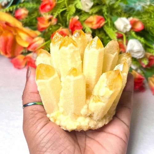300g Natürlicher Citrin Quarz Geode Cluster Gelb Kristall Sammlung Wohndeko - Bild 5 von 10