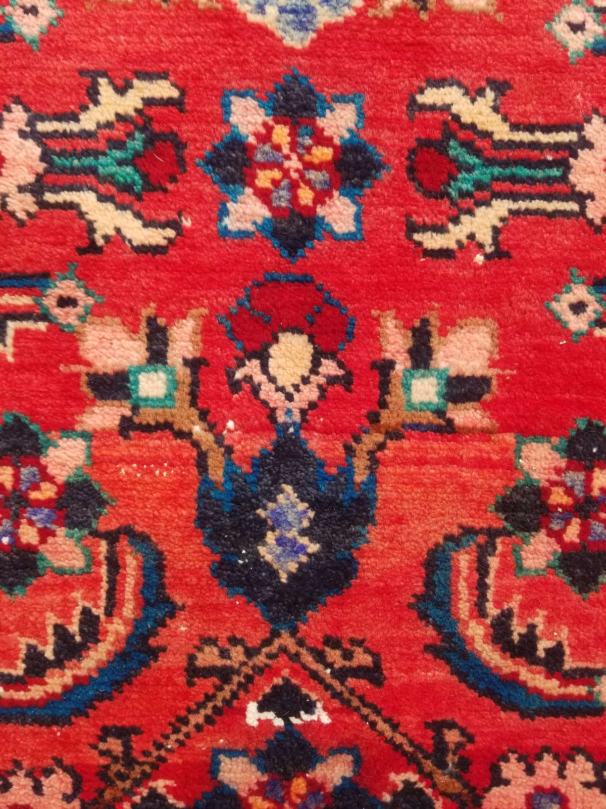 Picture 7 of 12