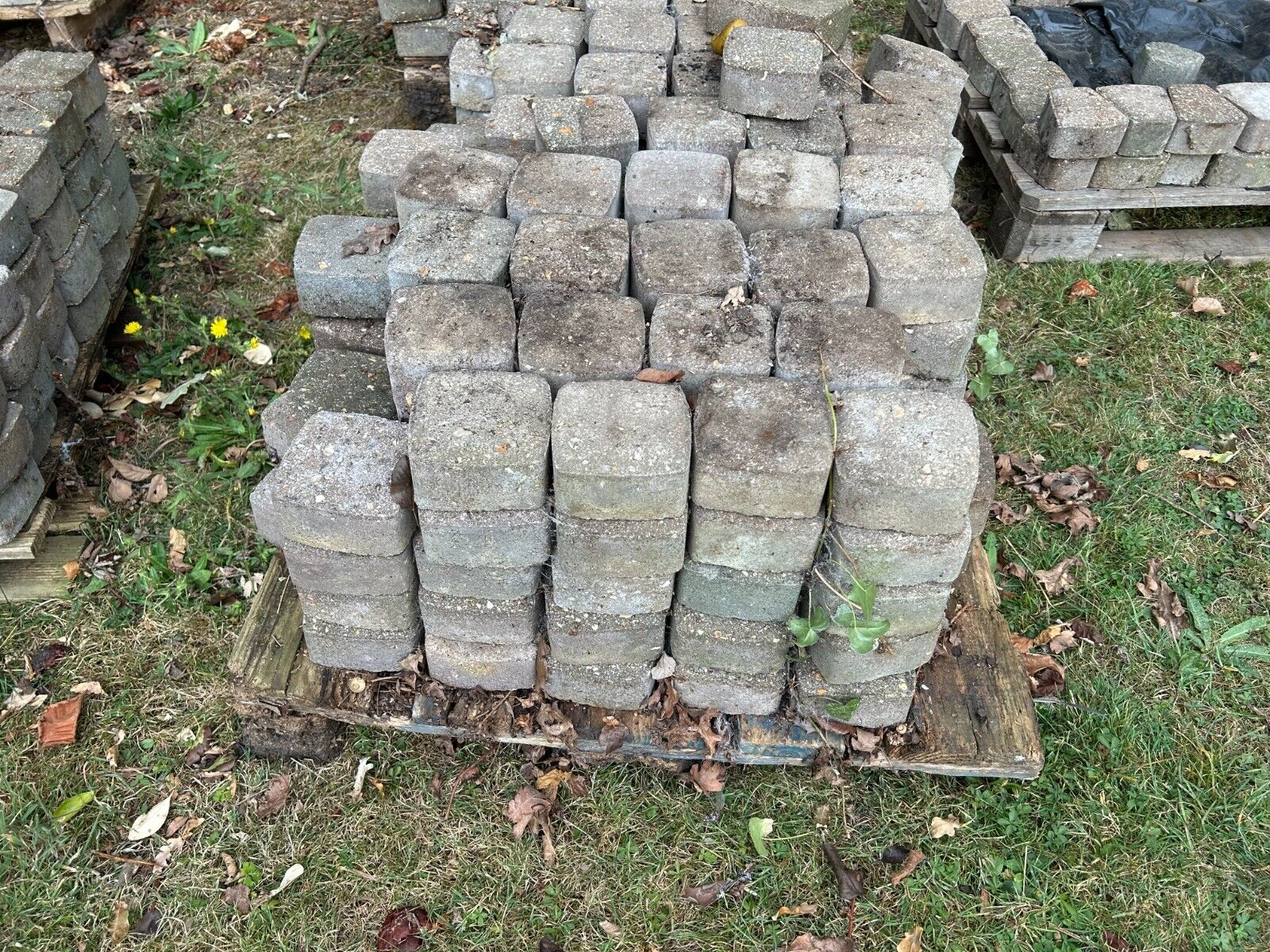 Bild 18 von 24