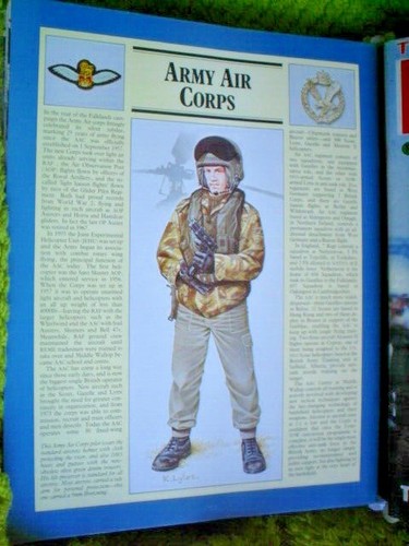 JUEGO COMPLETO DE LA GUERRA DE LAS MALVINAS 448 PÁGINAS VOLÚMENES 1 A 14 EN CARPETA VER FOTOS - Imagen 10 de 12