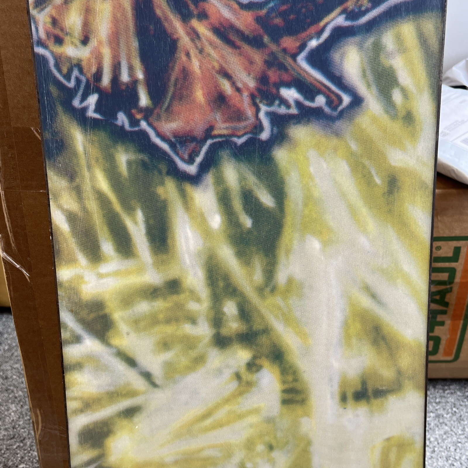 Picture 16 of 17