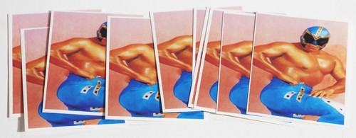 Mr. Niebla 2004 Las Estrellas De La Lucha Libre Album Stickers Card 192 CMLL AAA - Picture 5 of 24
