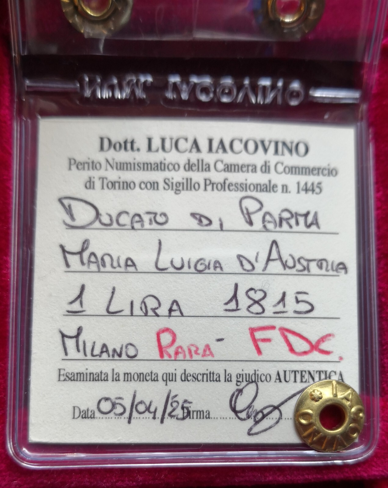 Foto 14 di 15